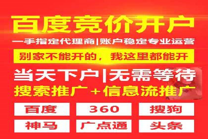 SEM外包服务应用案例分析
